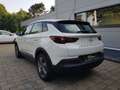 Opel Grandland Business Edition, Navi, Rückfahrkamera Weiß - thumbnail 3