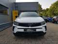Opel Grandland Business Edition, Navi, Rückfahrkamera Weiß - thumbnail 7