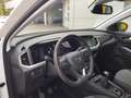 Opel Grandland Business Edition, Navi, Rückfahrkamera Weiß - thumbnail 10