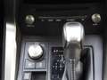 Lexus NX 300 300h Executive LED Navi 3J Garantie Negro - thumbnail 22