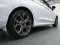 Ford Fiesta ST-Line 100PS / Winter & Weiß - thumbnail 35