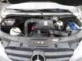Mercedes-Benz Sprinter 516 cdi MAXI LKW 5-tonne+Standheizung+Klima+1.Hand Zilver - thumbnail 19