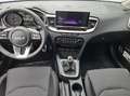 Kia Ceed / cee'd ceed 1,5 TGDI Silber Blau - thumbnail 14