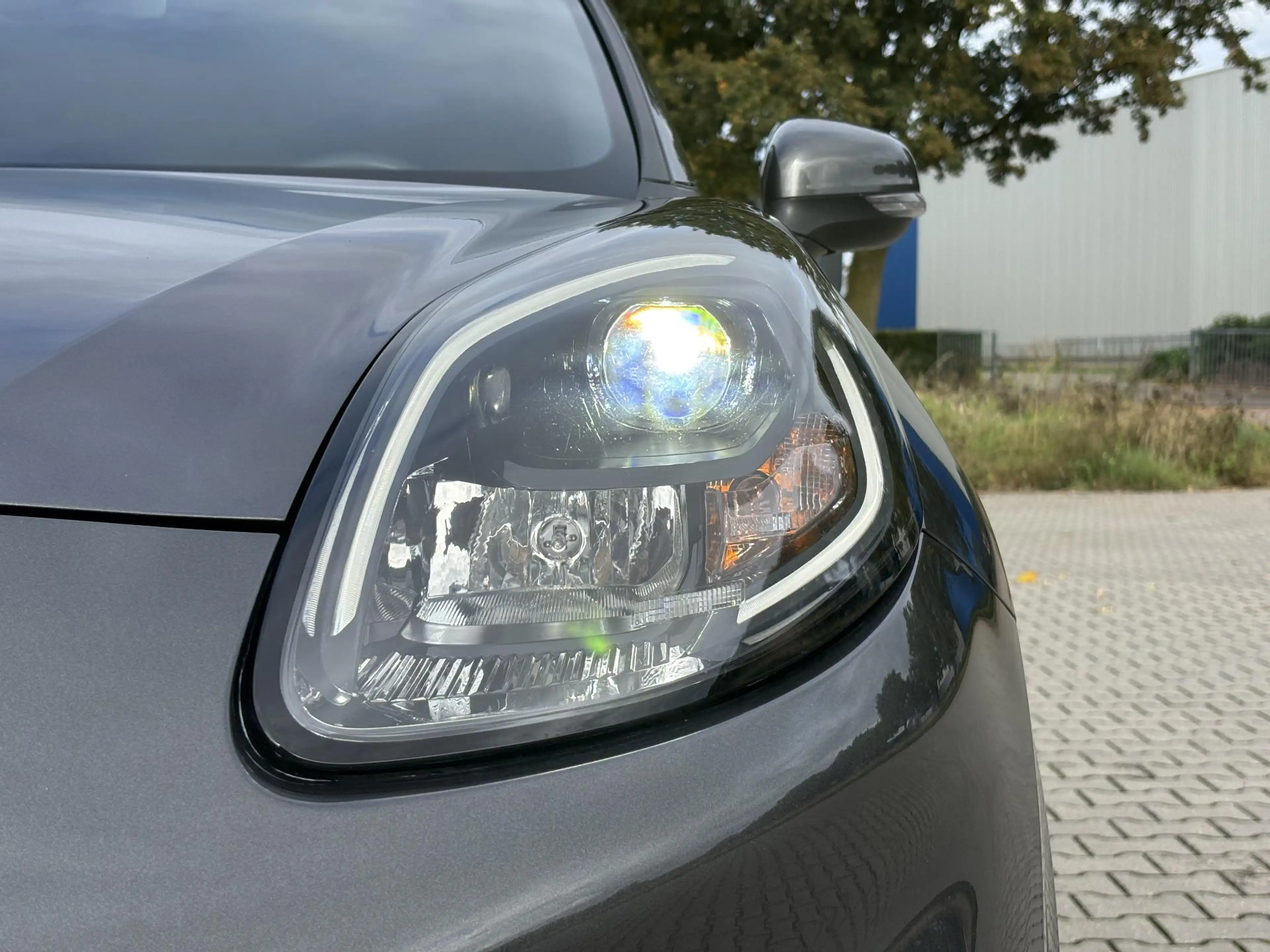 Ford Puma 1.0 EcoBoost Hybrid ST-Line X | Afneembare Trekhaa — photo 14