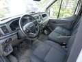 Ford Transit 350 Einzelkabine L4 Trend Koffer Blanc - thumbnail 4