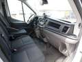 Ford Transit 350 Einzelkabine L4 Trend Koffer Blanc - thumbnail 14