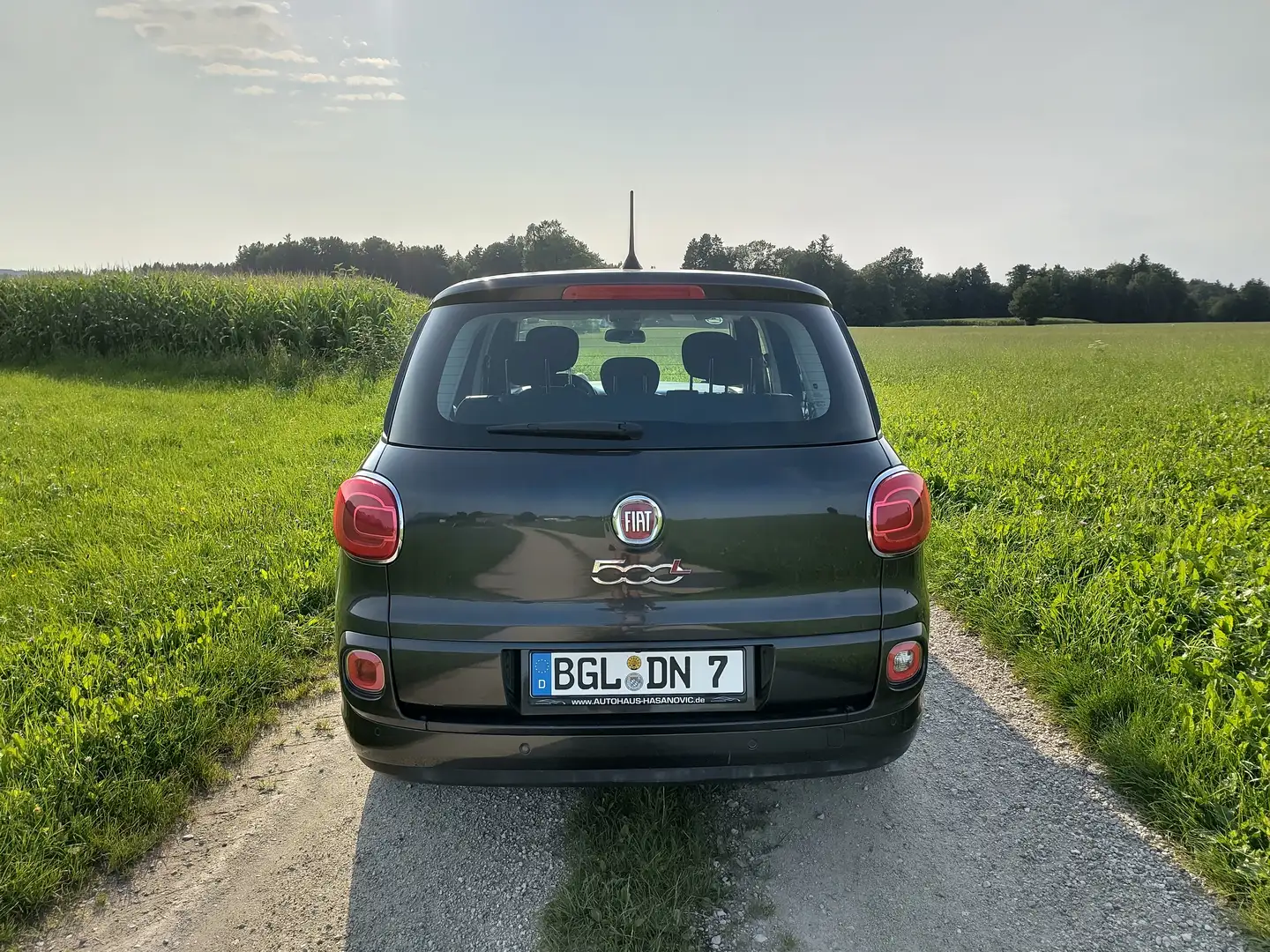 Fiat 500L 500L 0.9 TwinAir Grau - 2
