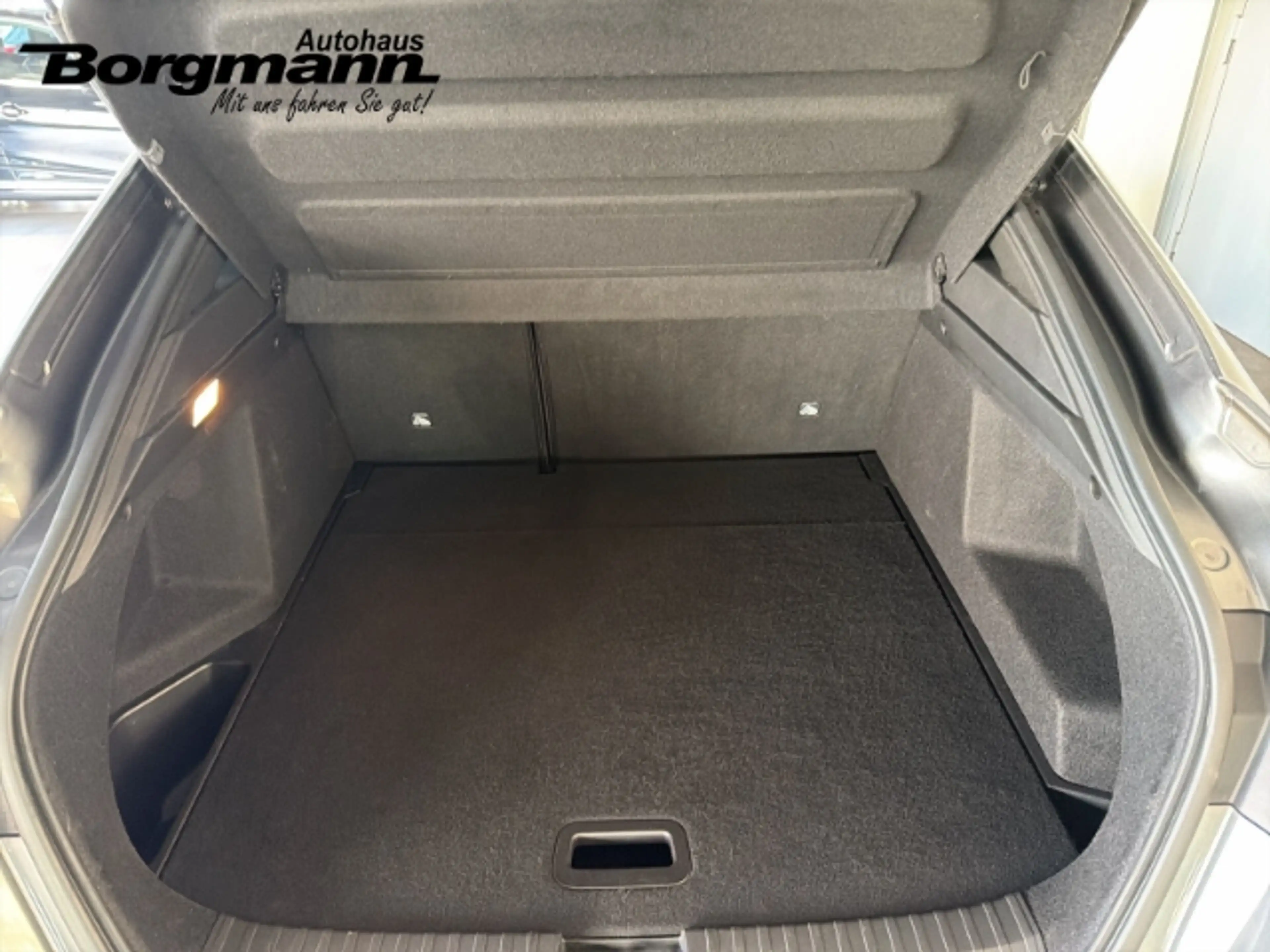 Renault Arkana 1.3 R.S. Line BOSE - Apple Carplay - Rückfahrkamer — photo 7