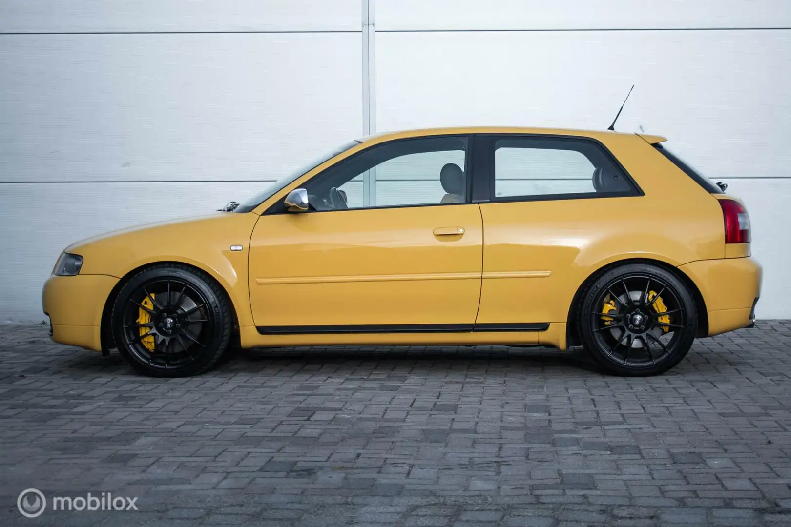 Audi S3 1.8T 5V Custom 281PK Porsche remmen OZ ultralegger Jaune - 2