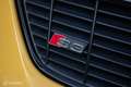 Audi S3 1.8T 5V Custom 281PK Porsche remmen OZ ultralegger Amarillo - thumbnail 24
