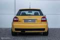 Audi S3 1.8T 5V Custom 281PK Porsche remmen OZ ultralegger Jaune - thumbnail 10