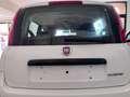 Fiat Panda Bianco - thumbnail 5