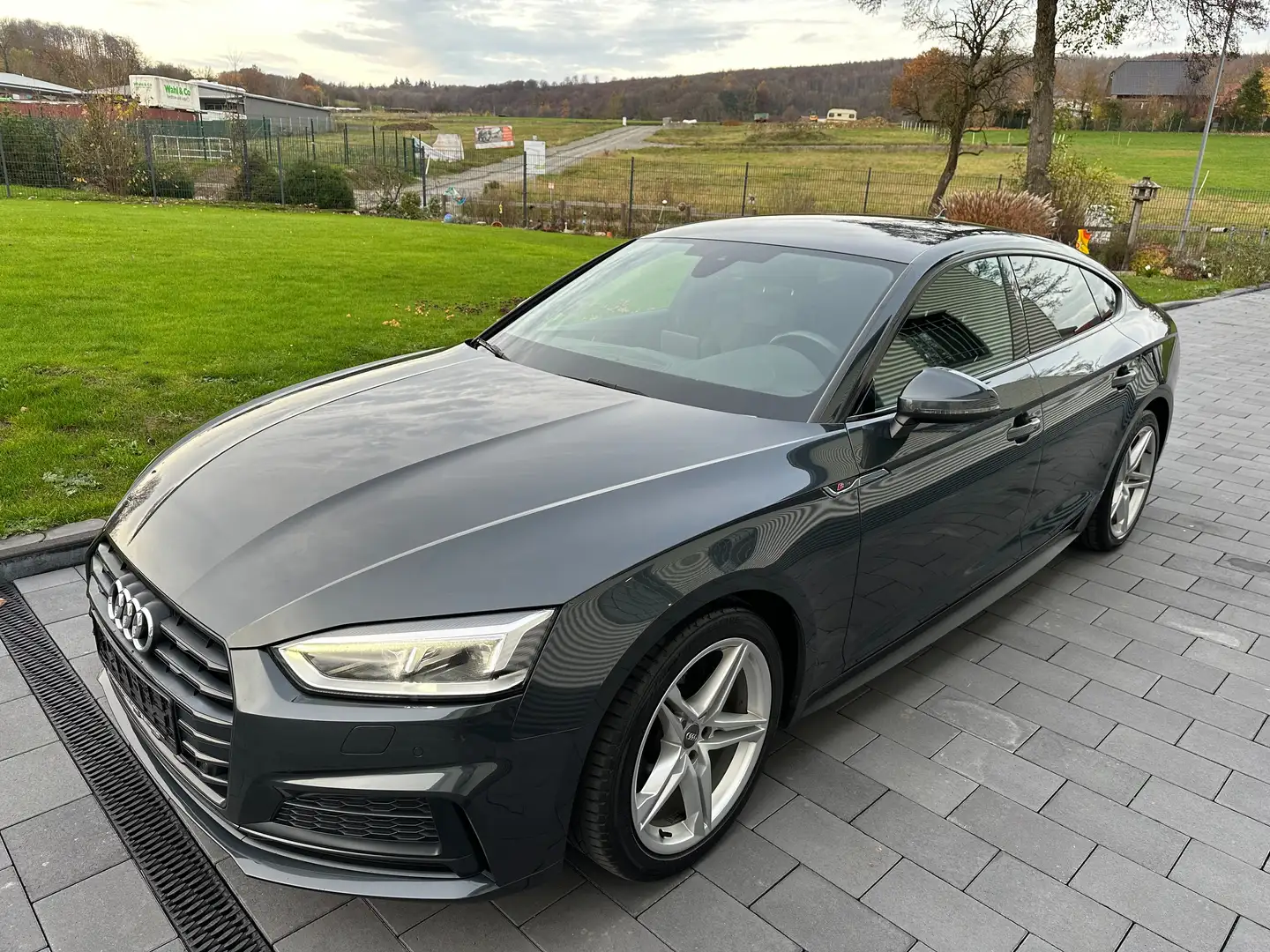 Audi A5 sport Gris - 1
