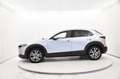 Mazda CX-30 2.0 Executive Appearance Pack 2wd 180cv 6at Grigio - thumbnail 3