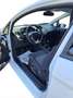 Ford Fiesta Fiesta 1.5 TDCi 75CV 3 porte Van Entry Blanco - thumbnail 3