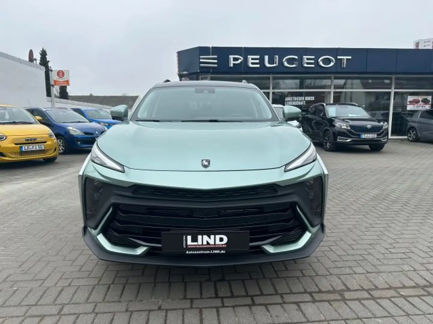 DFSK Sonstige Forthing 5 EVO Grün - 2