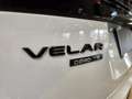 Land Rover Range Rover Velar 2.0 D240 SE R-DYNAMIC 26000KMS TOIT PANO / MERIDIA Wit - thumbnail 27