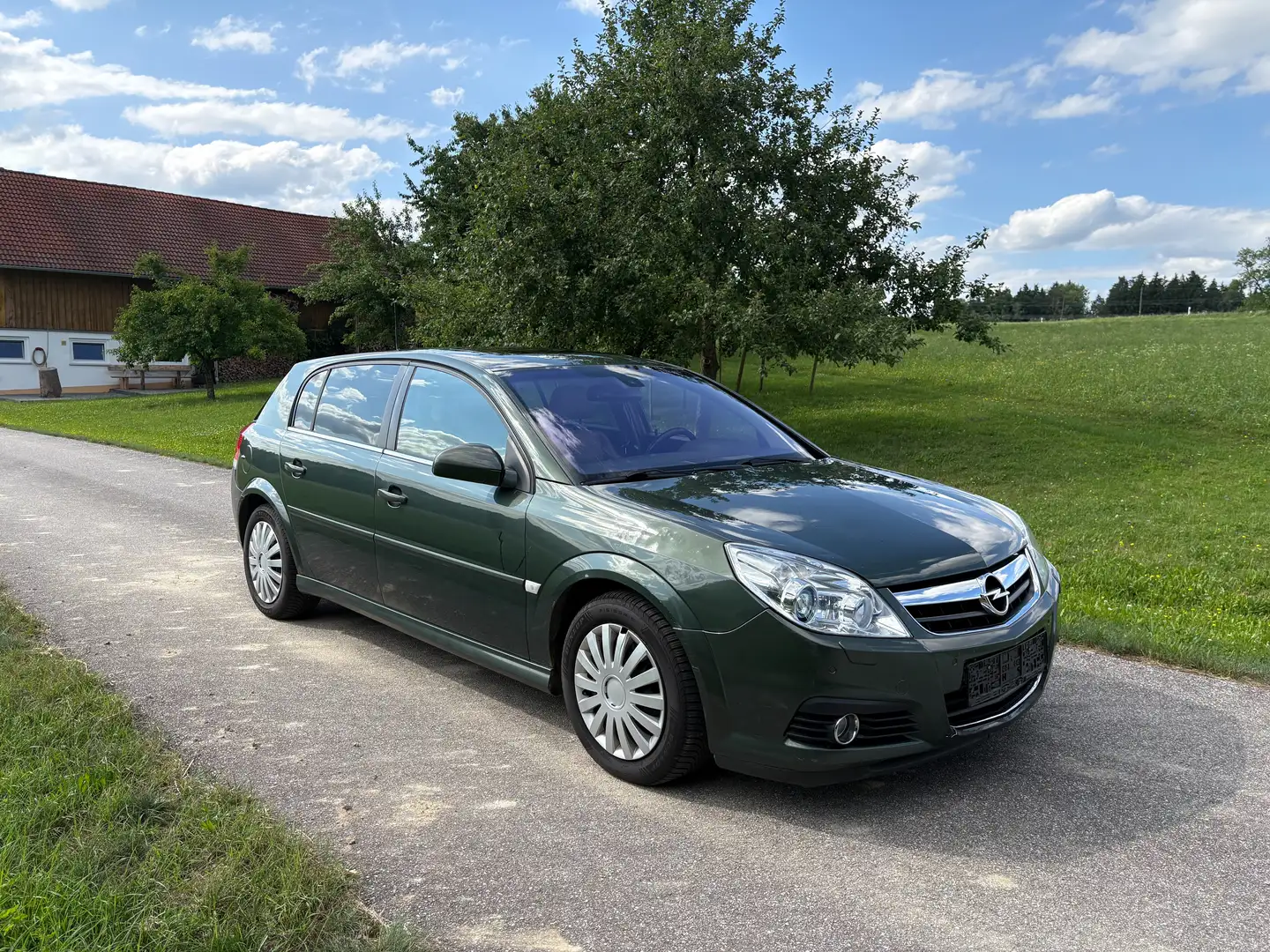 Opel Signum Signum 2.0 TurboBusiness Plus Verde - 2
