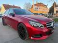 Mercedes-Benz E 220 CDI Edition Avantgarde !!! VIGNETTE,VOLLTANK UN... Grau - thumbnail 6