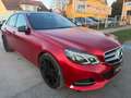 Mercedes-Benz E 220 CDI Edition Avantgarde !!! VIGNETTE,VOLLTANK UN... Grau - thumbnail 7