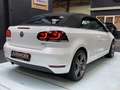 Volkswagen Golf Cabriolet TSI Clima Airco LEER Cruise CABRIO!l PAREL WIT LED Wit - thumbnail 14