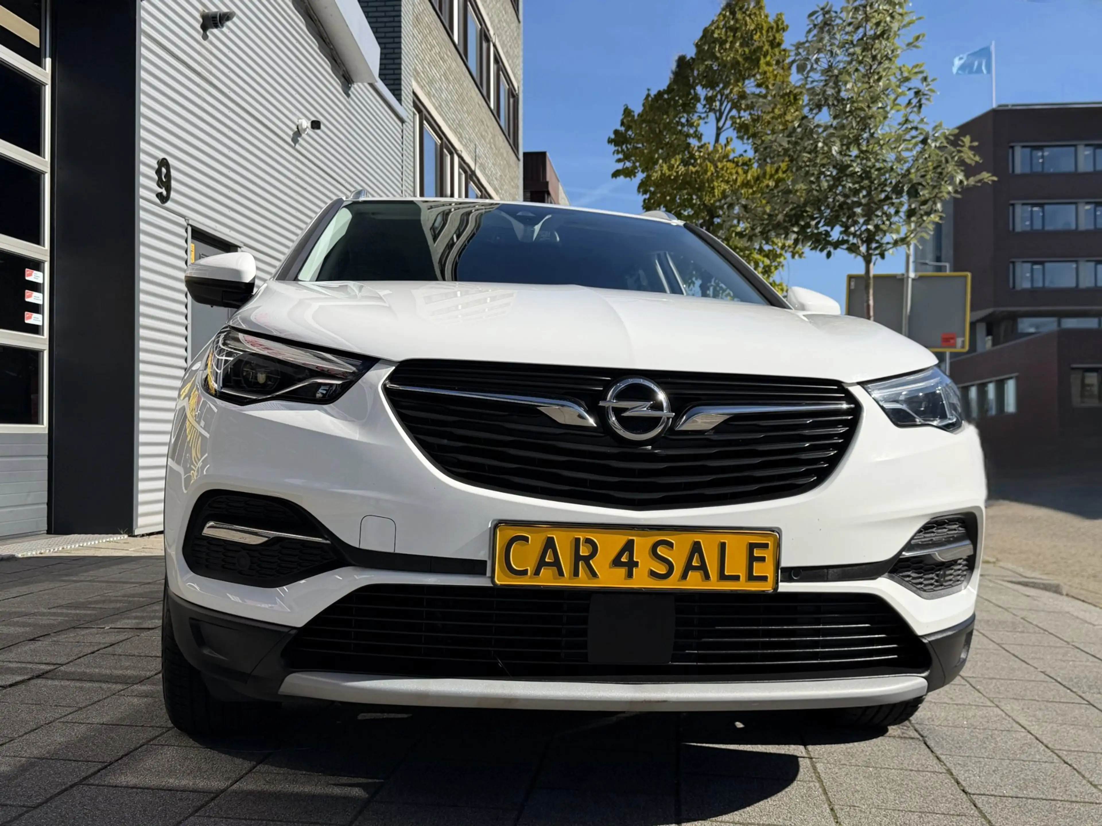 Opel Grandland X 1.2 Turbo Edition 2020 - Navigatie/Apple CarPlay I — photo 11
