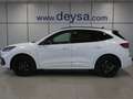 Ford Kuga ST-Line X 2.5 Duratec FHEV Auto Blanco - thumbnail 2