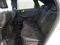 Ford Kuga ST-Line X 2.5 Duratec FHEV Auto Blanco - thumbnail 22