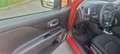 Jeep Renegade M.Y 2019 1.6 mjt Longitude 2wd 130cv ok. neopat. Rosso - thumbnail 7