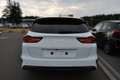 Kia Ceed / cee'd SW 1.5 T-GDI OPF Ultimate Edition Weiß - thumbnail 4