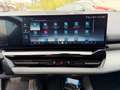 BMW 520 520 d M Sportpaket*HeadUP*Leder*Memory*Keyless* Grau - thumbnail 17