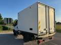 Iveco Daily CELLA FRIGO Bianco - thumbnail 6