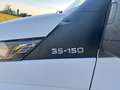 Iveco Daily CELLA FRIGO Bianco - thumbnail 10