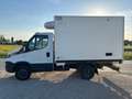 Iveco Daily CELLA FRIGO Bianco - thumbnail 7