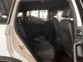 Volkswagen Tiguan 2.0 TSI R-Line DSG 4Motion ParkAssist Nav Wit - thumbnail 13