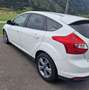 Ford Focus Focus Easy 1,0 EcoBoost Easy Weiß - thumbnail 1