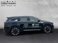 Kia Sorento PE 2.2 CRDi AWD PLATINUM  *PREMIUM-PAKET*PANORAMA- Schwarz - thumbnail 6