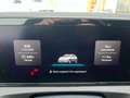 Volkswagen Tiguan Friends TDI DSG Grau - thumbnail 14