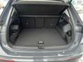 Volkswagen Tiguan Friends TDI DSG Grau - thumbnail 8