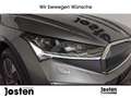 Skoda Enyaq Loft 80x MATRX Pano ACC e-Sitz CarPlay Gris - thumbnail 28
