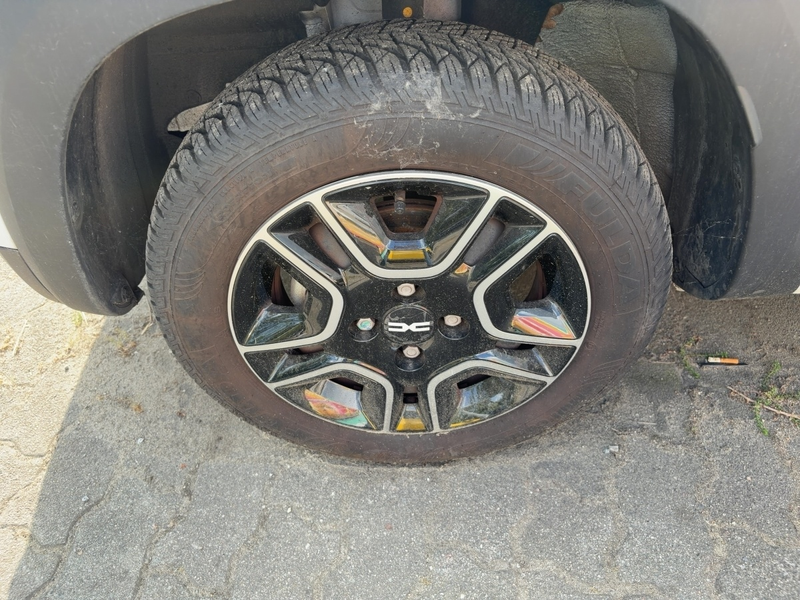 Dacia Spring 45 — photo 12