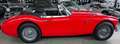 Austin 3000 MK II (BJ7) Frame-off und Matching Numbers Rot - thumbnail 4