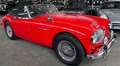 Austin 3000 MK II (BJ7) Frame-off und Matching Numbers Rot - thumbnail 3