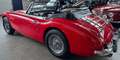 Austin 3000 MK II (BJ7) Frame-off und Matching Numbers Rot - thumbnail 7