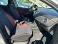 Fiat Bravo 1.6 MJT 120CV Street - OK NEOPATENTATI Grigio - thumbnail 10