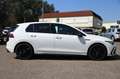 Volkswagen Golf GTI VIII 2.0 TSI ACC*NAVI*SHZ*KAM*Lenkr.Hz Weiß - thumbnail 3