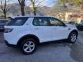 Land Rover Discovery Sport Discovery Sport  2.0 td4 Luxury awd 73m.Garanzia Weiß - thumbnail 7