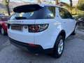 Land Rover Discovery Sport Discovery Sport  2.0 td4 Luxury awd 73m.Garanzia Weiß - thumbnail 4