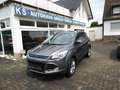 Ford Kuga 2,0 TDCi 4x4 103kW Titanium Grau - thumbnail 1