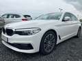 BMW 530 d xDrive SPORT LINE*LEDER*NAVI*KAMERA*SHZ*PDC Weiß - thumbnail 1
